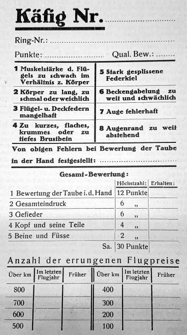 Käfigkarte-30-Punkte-Standard Käfigkarte-30-Punkte-Standard