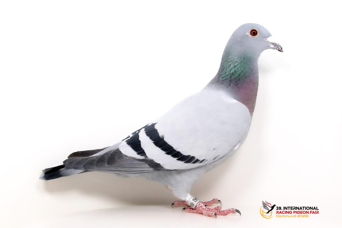 DV 05369-25-5042, Hans-Paul Eßer K739-5369-25-5042